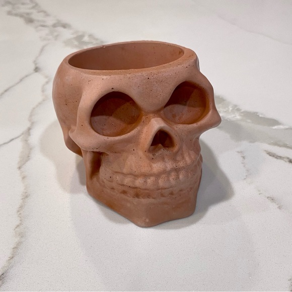 Skull Planter/Organizer - Picture 3 of 7